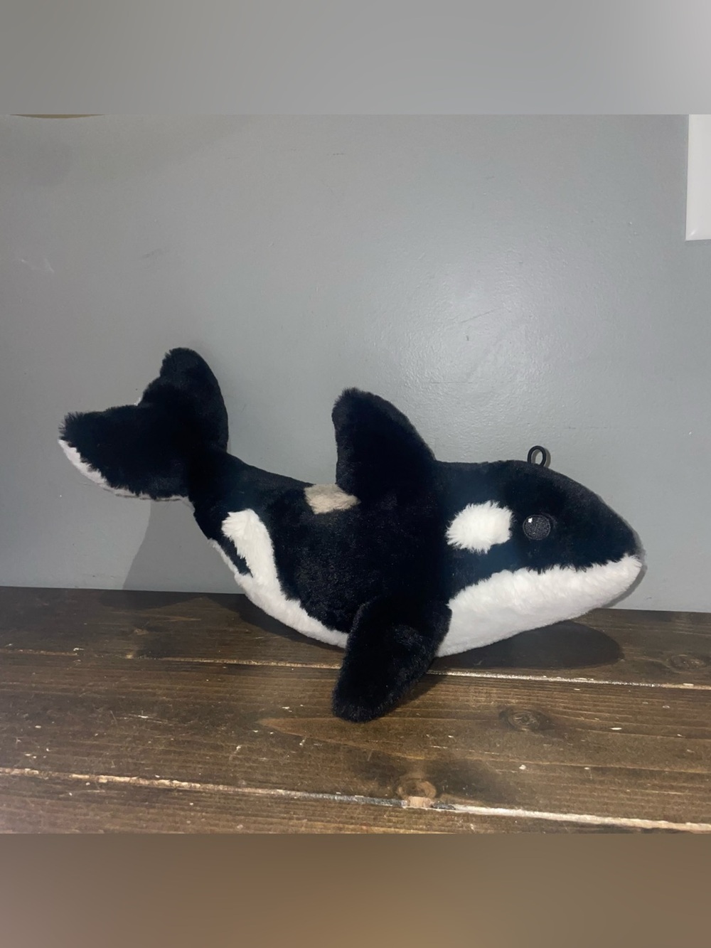 Orca whale (killer whale ) from Vancouver aquarium